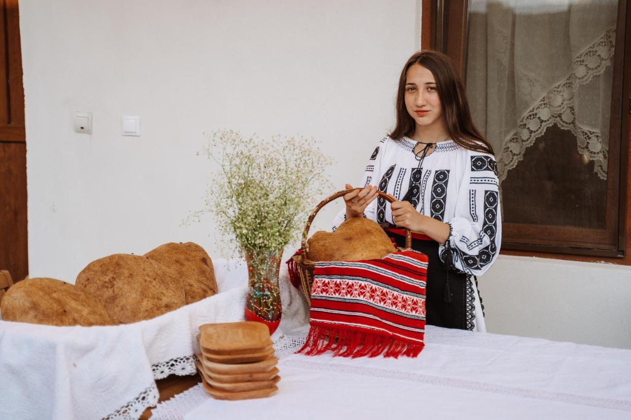 Hotel Casa Brutarului Crit Zewnętrze zdjęcie