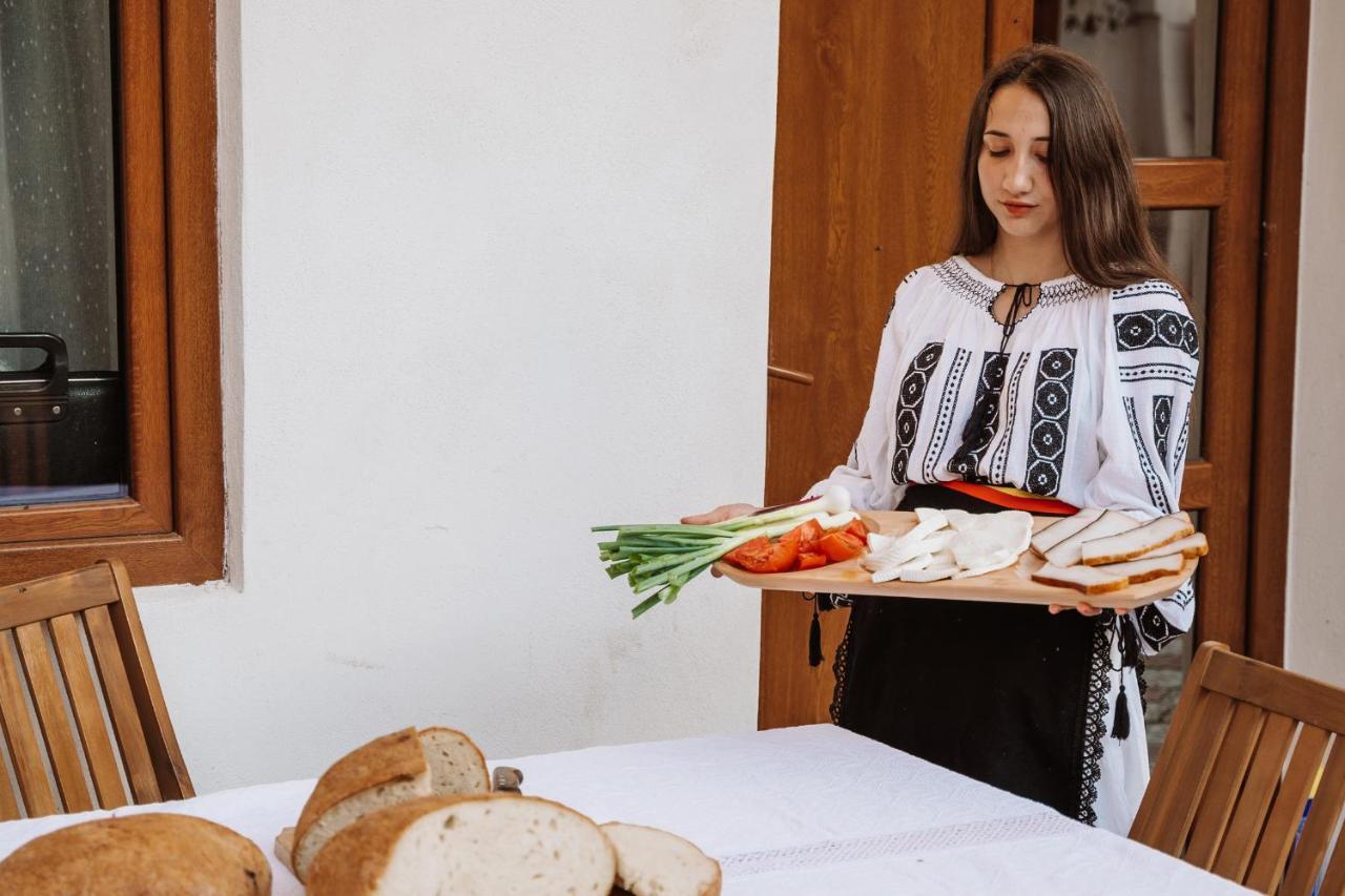 Hotel Casa Brutarului Crit Zewnętrze zdjęcie